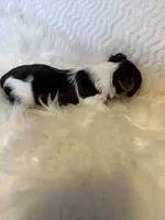 processed/b7dc6517-329e-42a4-8d9f-b8d4c3dc76b5/listing/378b3fd8-2f6a-4bcc-adf4-2b94818ccdee/269dfcaa-1833-454c-a030-e0138ee855a1