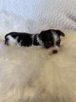 processed/b7dc6517-329e-42a4-8d9f-b8d4c3dc76b5/listing/378b3fd8-2f6a-4bcc-adf4-2b94818ccdee/3dc845b6-585e-4007-acfd-cbd34878c9c6