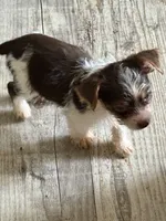 processed/b7dc6517-329e-42a4-8d9f-b8d4c3dc76b5/listing/378b3fd8-2f6a-4bcc-adf4-2b94818ccdee/c612b43b-70be-47b8-951a-395862bee0be