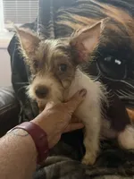 processed/b7dc6517-329e-42a4-8d9f-b8d4c3dc76b5/listing/378b3fd8-2f6a-4bcc-adf4-2b94818ccdee/de8a3c8f-22e0-406c-8de8-5857693ec4d2