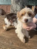 processed/b7dc6517-329e-42a4-8d9f-b8d4c3dc76b5/listing/378b3fd8-2f6a-4bcc-adf4-2b94818ccdee/f33d3f41-f226-4d17-9a5c-589cb6af0e81