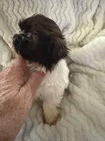 processed/b7dc6517-329e-42a4-8d9f-b8d4c3dc76b5/listing/65114b4e-3715-47aa-8cdb-926387025f90/e33961cf-a43a-49a1-830d-d9f63a5e67cb