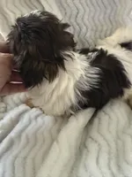 processed/b7dc6517-329e-42a4-8d9f-b8d4c3dc76b5/listing/65114b4e-3715-47aa-8cdb-926387025f90/ecb22c9d-eefc-4eaf-a8a9-b6f3066d7482