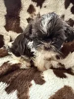 processed/b7dc6517-329e-42a4-8d9f-b8d4c3dc76b5/listing/9ca7d9ac-2f68-41ef-8174-82002eb7691d/82cb5bc2-19ba-4459-a19b-e4ab7f51bda2