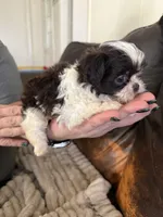 processed/b7dc6517-329e-42a4-8d9f-b8d4c3dc76b5/listing/9ca7d9ac-2f68-41ef-8174-82002eb7691d/94fc2699-262c-4d5b-a0e2-b42ab8c661e8