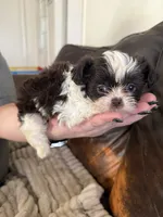 processed/b7dc6517-329e-42a4-8d9f-b8d4c3dc76b5/listing/9ca7d9ac-2f68-41ef-8174-82002eb7691d/f8d1aa45-fabd-4d9a-9f29-bf0d88bae605