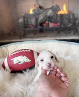 processed/b7dd42c4-35e3-4b9b-858a-7157ca31f148/listing/7b57c579-1c87-4a75-a197-30bf2ce4e59c/29ae4185-8a62-4342-9a6e-2b99e77967dc