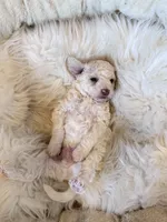 processed/b7dd42c4-35e3-4b9b-858a-7157ca31f148/listing/7b57c579-1c87-4a75-a197-30bf2ce4e59c/3c9d191a-8ea8-4297-9c4b-da4049949760