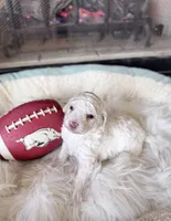 processed/b7dd42c4-35e3-4b9b-858a-7157ca31f148/listing/7b57c579-1c87-4a75-a197-30bf2ce4e59c/9ebc519e-31a9-4b6a-b0b3-b708ca2c5d7f