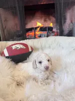 processed/b7dd42c4-35e3-4b9b-858a-7157ca31f148/listing/7b57c579-1c87-4a75-a197-30bf2ce4e59c/b4d9631b-5a2f-4e13-93dd-845840bc3076