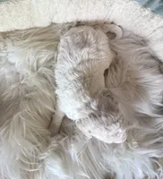 processed/b7dd42c4-35e3-4b9b-858a-7157ca31f148/listing/7b57c579-1c87-4a75-a197-30bf2ce4e59c/f15ef7df-aa99-4086-bf07-4173e0b6a5db