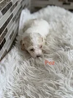 processed/b7dd42c4-35e3-4b9b-858a-7157ca31f148/listing/9da12fd9-c803-4cc4-9433-c6dd530b55e3/2d3ab3cd-48b6-4e74-8414-d31ed587e1ce