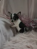 processed/b7e2e54e-4dea-474e-9eb9-f1860eee1acd/listing/b546a932-b7ee-48f4-bdfe-4e2463f1b123/0e7d23d3-e308-46f0-a158-ff99e5fa28b9