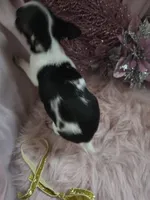 processed/b7e2e54e-4dea-474e-9eb9-f1860eee1acd/listing/b546a932-b7ee-48f4-bdfe-4e2463f1b123/60e0c941-f2a4-4f53-94b3-088f41ddf731