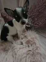 processed/b7e2e54e-4dea-474e-9eb9-f1860eee1acd/listing/b546a932-b7ee-48f4-bdfe-4e2463f1b123/768f8b53-0d6c-4568-b693-74e20e5f3555