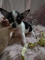 processed/b7e2e54e-4dea-474e-9eb9-f1860eee1acd/listing/b546a932-b7ee-48f4-bdfe-4e2463f1b123/792b8d4a-a49f-418e-b46e-6e2d7db96b6b