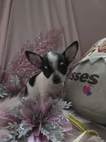 processed/b7e2e54e-4dea-474e-9eb9-f1860eee1acd/listing/b546a932-b7ee-48f4-bdfe-4e2463f1b123/8cc9ea17-e11f-423f-9516-d77cac15f65b