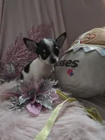 processed/b7e2e54e-4dea-474e-9eb9-f1860eee1acd/listing/b546a932-b7ee-48f4-bdfe-4e2463f1b123/ab5230de-177f-4e43-b85c-2348b33e04f6