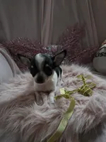 processed/b7e2e54e-4dea-474e-9eb9-f1860eee1acd/listing/b546a932-b7ee-48f4-bdfe-4e2463f1b123/afc5e7e5-67d6-47fa-bc78-87d5e114f833