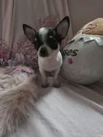 processed/b7e2e54e-4dea-474e-9eb9-f1860eee1acd/listing/b546a932-b7ee-48f4-bdfe-4e2463f1b123/c87853b5-6a28-4d9b-b7ae-f7ee11d729df