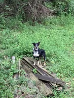 processed/b7e79863-f92d-4308-bce6-eb4e1c29322b/facility/1824efbc-e478-4523-867c-4f42112180d6