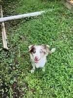 processed/b7e79863-f92d-4308-bce6-eb4e1c29322b/facility/20fadc35-b717-4506-849c-03cafccf3930