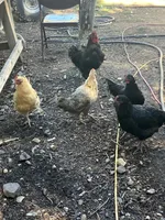 processed/b7e79863-f92d-4308-bce6-eb4e1c29322b/facility/49ece614-ed79-49c4-9c97-160ce30bbb63