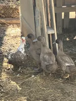 processed/b7e79863-f92d-4308-bce6-eb4e1c29322b/facility/4ff9c503-8192-4a67-b8d2-35585b72c7f9