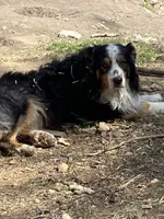 processed/b7e79863-f92d-4308-bce6-eb4e1c29322b/facility/661bd2d3-0220-4f11-8dae-1d894c57a4fb