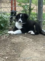 processed/b7e79863-f92d-4308-bce6-eb4e1c29322b/facility/e472c5c9-b018-4303-85f7-57f600efa3a9