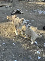 processed/b7e79863-f92d-4308-bce6-eb4e1c29322b/listing/c3c10f54-c84b-4f58-812d-0e231b2bf918/75d7af5b-2685-45a2-afda-3488d71db4f3