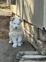 processed/b7e79863-f92d-4308-bce6-eb4e1c29322b/listing/c3c10f54-c84b-4f58-812d-0e231b2bf918/7c74d4fd-569b-46e5-ab06-286cccb70286