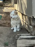 processed/b7e79863-f92d-4308-bce6-eb4e1c29322b/listing/c3c10f54-c84b-4f58-812d-0e231b2bf918/90c01e18-4cf0-43b5-bc4b-4fbbaaadcacf