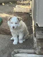 processed/b7e79863-f92d-4308-bce6-eb4e1c29322b/listing/c3c10f54-c84b-4f58-812d-0e231b2bf918/a7518a94-0657-420f-bcc6-958280001dca