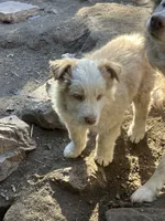 processed/b7e79863-f92d-4308-bce6-eb4e1c29322b/listing/c3c10f54-c84b-4f58-812d-0e231b2bf918/b5de7188-c45b-4a6f-97c2-e1a49ab5afdf