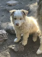 processed/b7e79863-f92d-4308-bce6-eb4e1c29322b/listing/c3c10f54-c84b-4f58-812d-0e231b2bf918/cb1befdc-b0a4-4b72-a808-d8f3081bc353