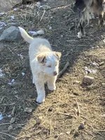 processed/b7e79863-f92d-4308-bce6-eb4e1c29322b/listing/c3c10f54-c84b-4f58-812d-0e231b2bf918/cb5b0641-3274-4e47-a924-ccd8b921dac6