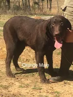 processed/b7edef6c-9222-4a7f-9857-ca7392feeaf2/listing/eab4c9c2-6fd1-4542-af3d-82f8249351f0/2a9e38f0-946f-476f-b798-8d35c40a7664