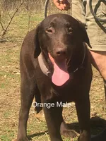 processed/b7edef6c-9222-4a7f-9857-ca7392feeaf2/listing/eab4c9c2-6fd1-4542-af3d-82f8249351f0/5aed8936-5bd8-43da-8052-2cc7934eca28