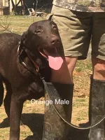 processed/b7edef6c-9222-4a7f-9857-ca7392feeaf2/listing/eab4c9c2-6fd1-4542-af3d-82f8249351f0/886c5f0b-9267-486e-8ff4-d84c3a4a8786