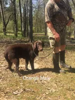 processed/b7edef6c-9222-4a7f-9857-ca7392feeaf2/listing/eab4c9c2-6fd1-4542-af3d-82f8249351f0/d1b3d3d6-b9ce-4cdc-9753-e5b228daf5ca