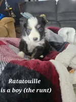 processed/b7f114c7-fb79-45be-9af8-f0c0aab6c7b0/listing/56671477-ab8d-4840-bc83-10f0f38ce88d/633cacfc-9e10-4385-97a7-cb77f8cc4435