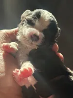 processed/b7f114c7-fb79-45be-9af8-f0c0aab6c7b0/listing/56671477-ab8d-4840-bc83-10f0f38ce88d/d0d4f1c1-0b8b-42db-8f2e-e340fbfc4665