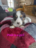 processed/b7f114c7-fb79-45be-9af8-f0c0aab6c7b0/listing/de66bf75-31cf-44e7-8b5b-c6e988fb876f/208c66b3-1eba-4ef6-b33a-151d3ece4973