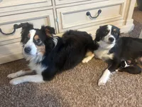 processed/b7f114c7-fb79-45be-9af8-f0c0aab6c7b0/listing/de66bf75-31cf-44e7-8b5b-c6e988fb876f/678b388c-d082-40a9-be19-afc49bed9599