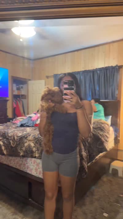 Ace, a male Poodle - Toy  for sale in Little Rock, AR – 2 of 2