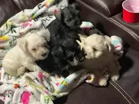 processed/b8008316-b7ee-43f5-89a9-b148654280ca/facility/0543506a-7be6-4db8-9ba8-1d724b1dbf01