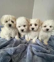 processed/b8008316-b7ee-43f5-89a9-b148654280ca/facility/47e5825b-ab37-4b6d-85e3-80c17c2c4362