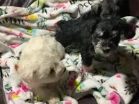 processed/b8008316-b7ee-43f5-89a9-b148654280ca/facility/f2727ea6-a51a-4961-a8e1-28d39bd2b437