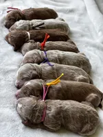 Facility photo
